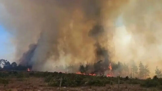 svg+xml,%3Csvg%20xmlns%3D%22http%3A%2F%2Fwww.w3 Hecinler yangınında haberleşme desteği verdik